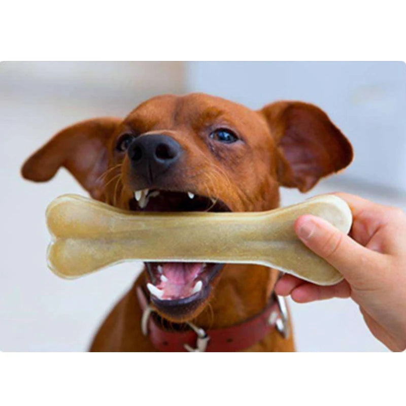 Leather Dog Chew Bones for Healthy Teeth and Entertainment