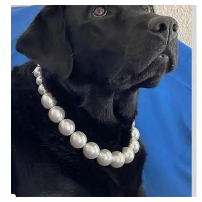 Elegant Pearl-Embellished Collar for Small Dogs and Cats