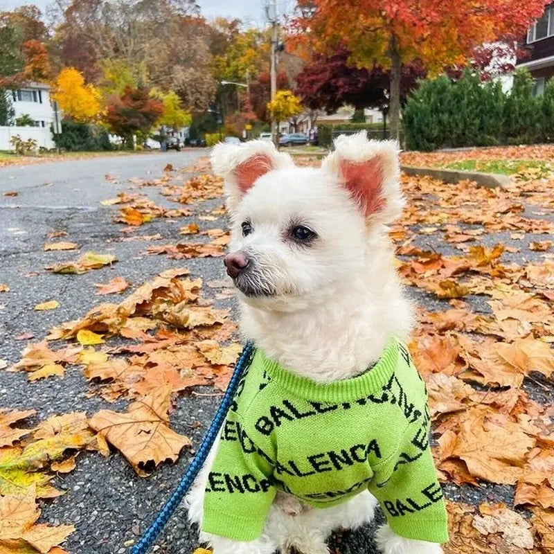 Cozy Knit Dog Sweater with Letter Pattern for Small Pets