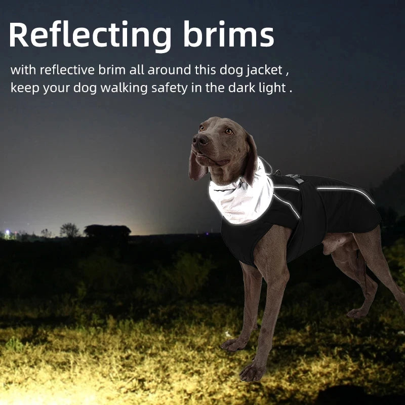 Luxury Reflective Winter Jacket for Dogs - Cozy, Stylish, and Water-Resistant Coat with Adjustable Fit